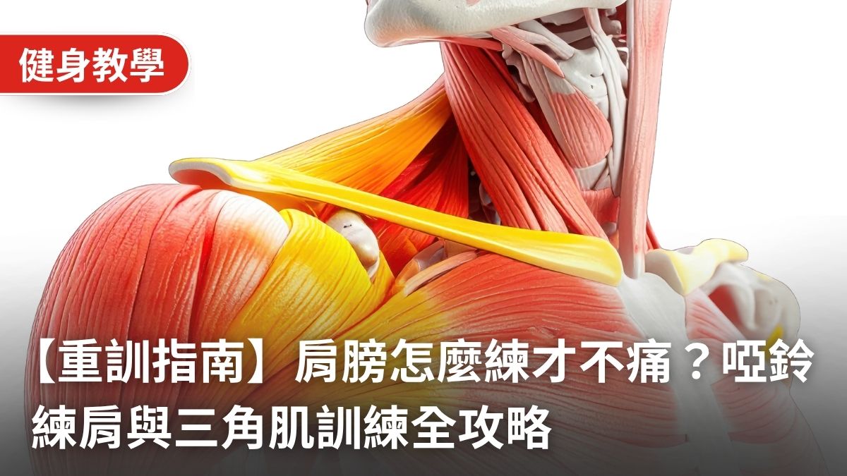 【重訓指南】肩膀怎麼練才不痛?4個必學的練肩膀動作:啞鈴練肩與三角肌訓練全攻略