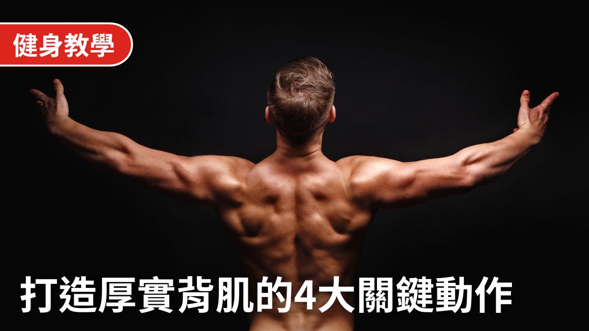 背肌訓練完整指南:4個關鍵動作,用對練背器材打造厚實背肌
