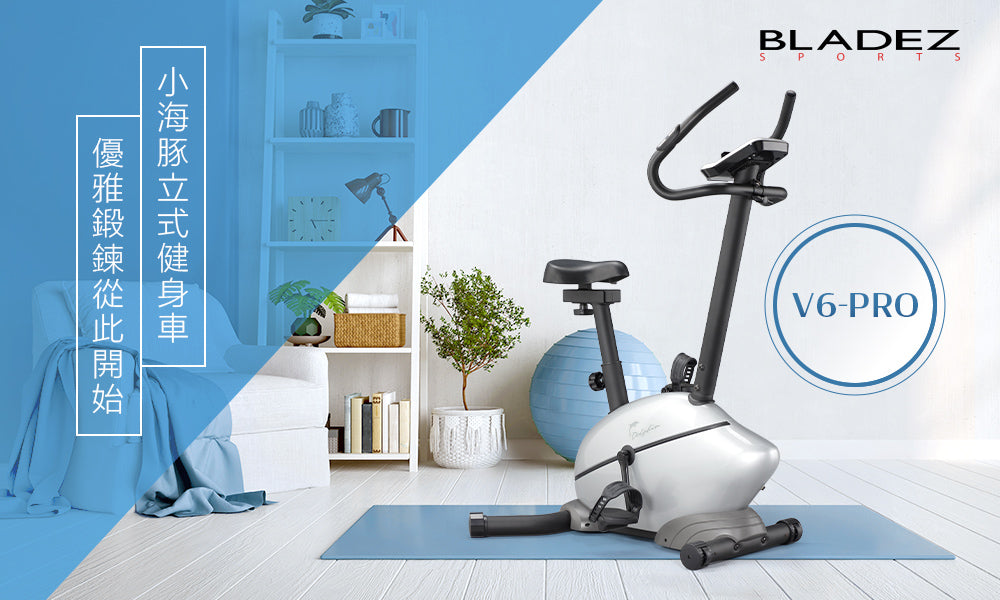 【BLADEZ】V6-PRO 小海豚立式健身車